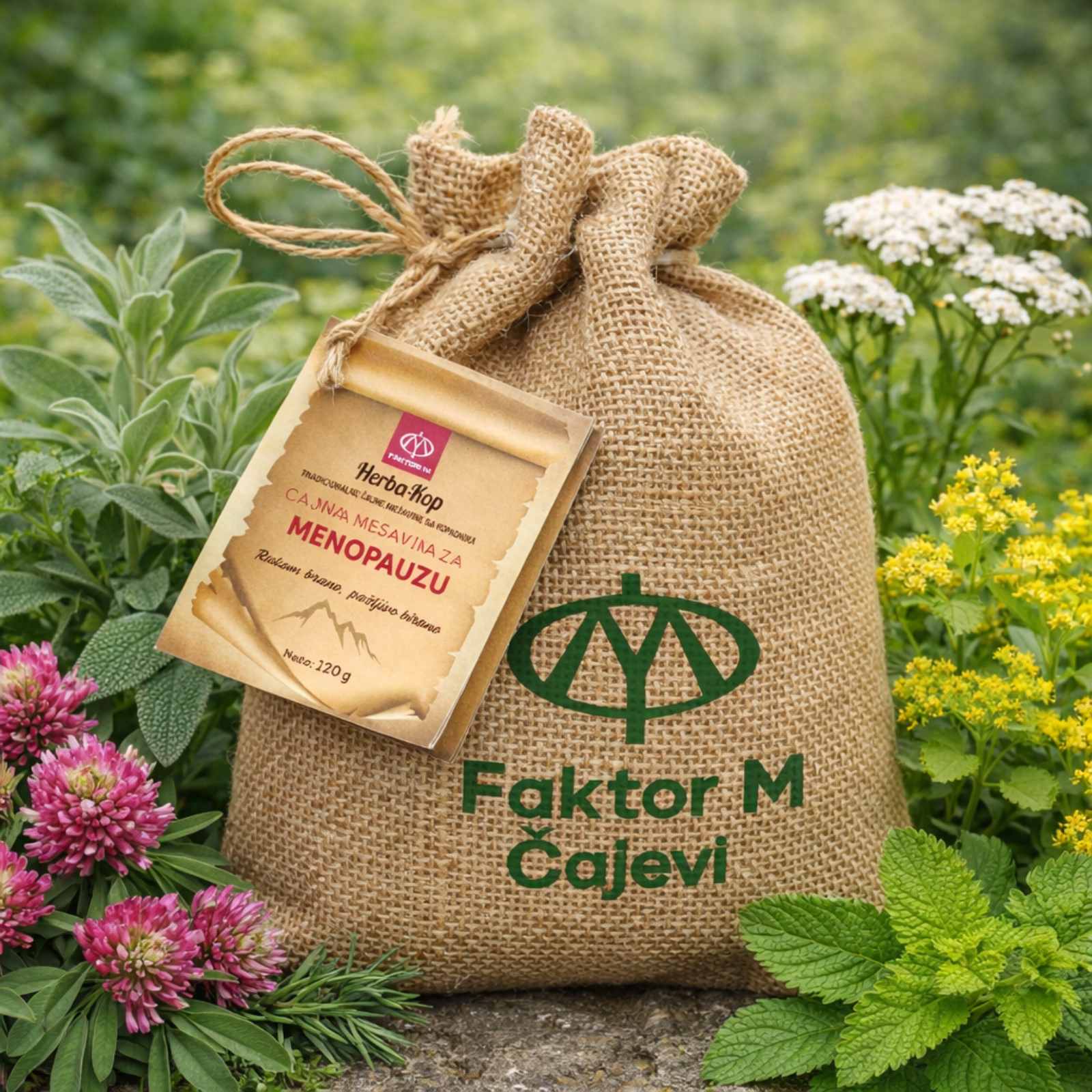 viber_slika_2026-01-23_19-54-31-598